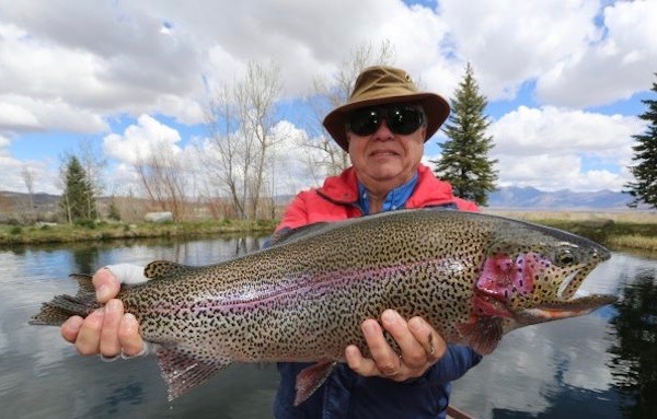 Best Trout Fishing Lakes In The Eastern Sierra Bridgeport Reservoir