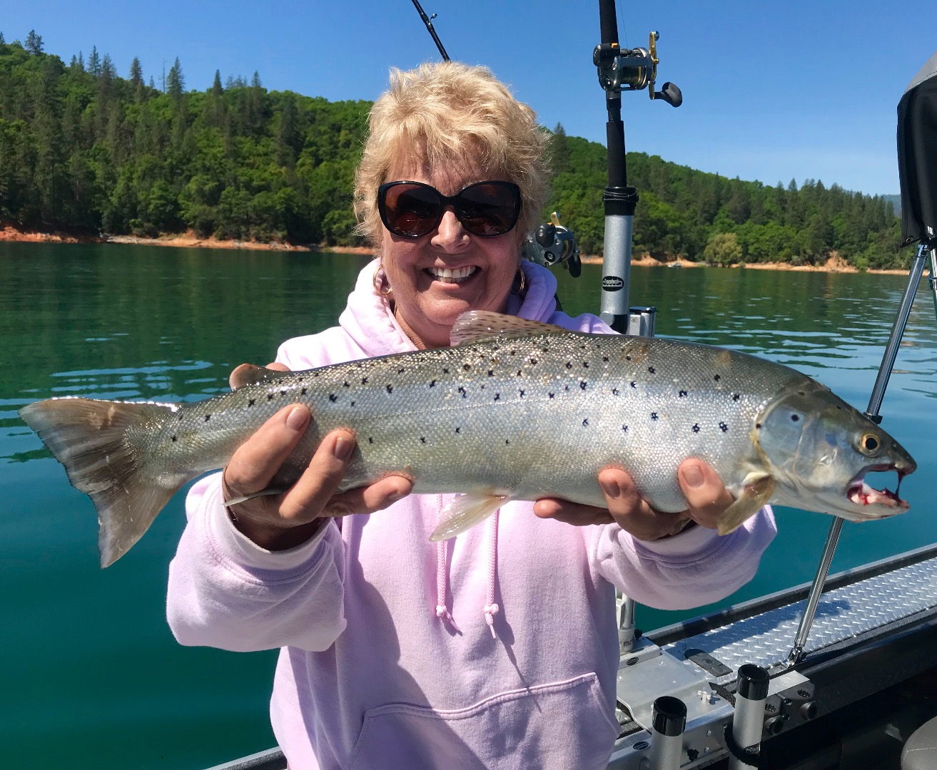 More browns and bows on Shasta today!