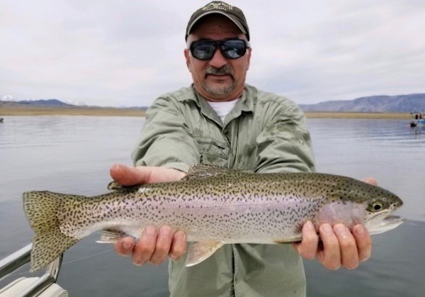 Crowley Lake Fish Report - Mammoth Lakes, CA (Mono County)