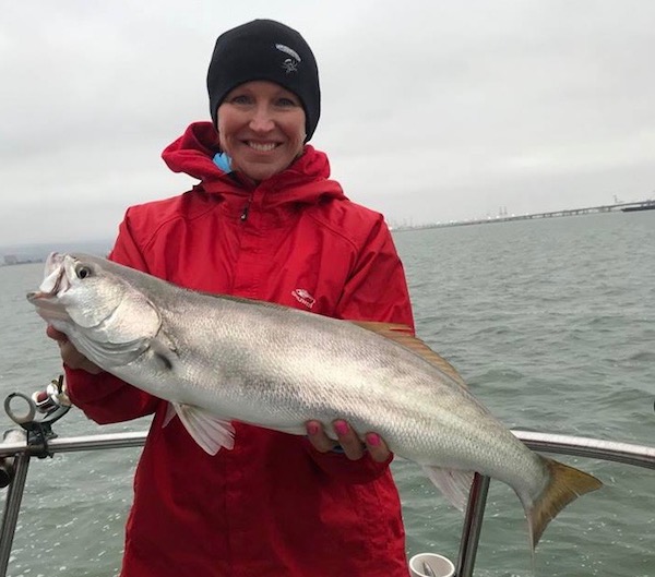Today's Bay Fish Report