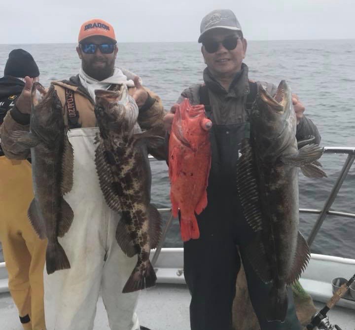 Farallon Islands Report