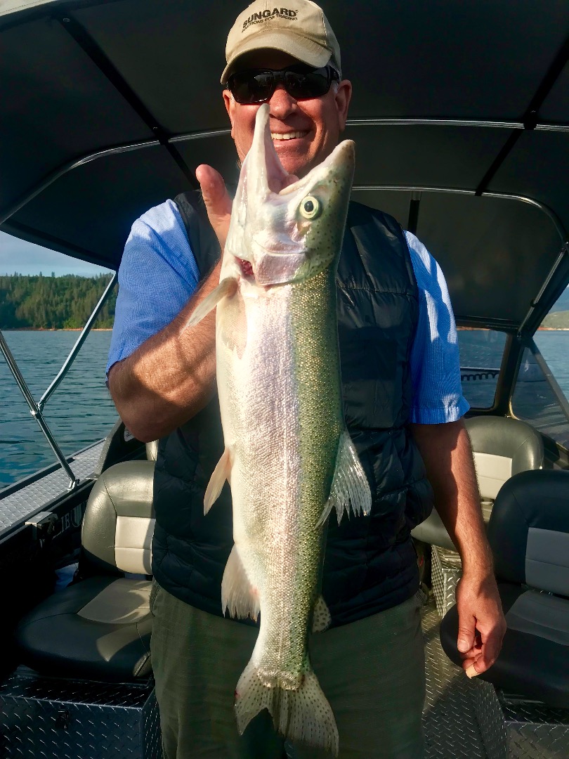 Tough bite today on Shasta Lake.