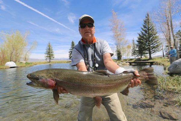 Jurassic Pond (Private) Fish Report - Mammoth Lakes, CA (Mono County)