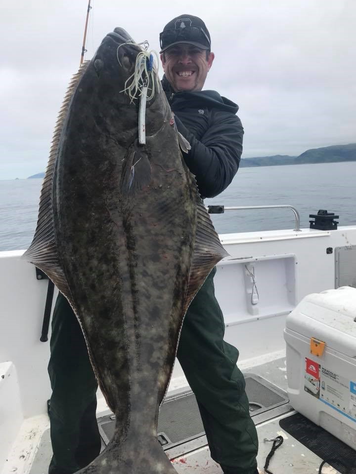 Eureka halibut action remains red-hot