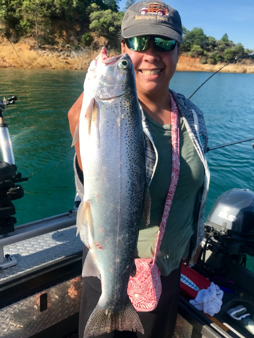 Short early bite on Shasta lately