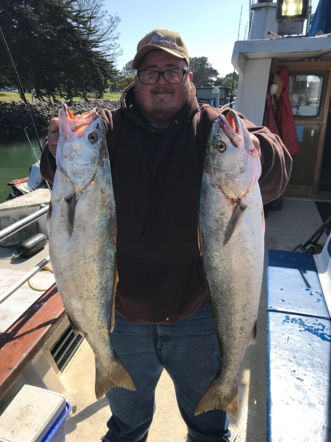 Halibut and bass