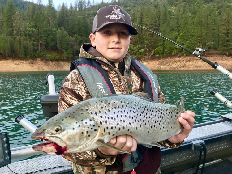 Spring Tactics for Fishing Shasta Lake Trout and Salmon