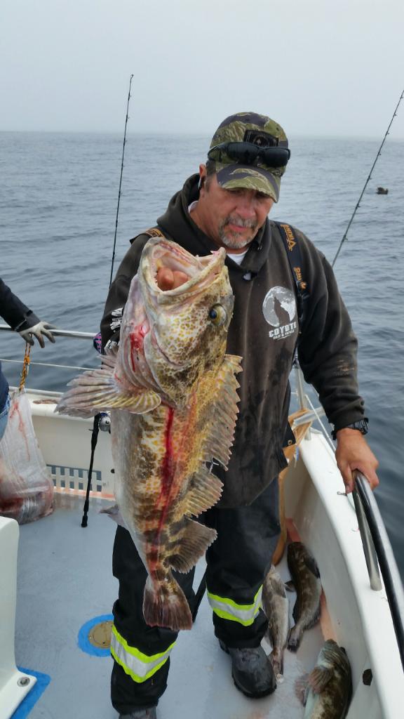 Lingcod Limits at Sur