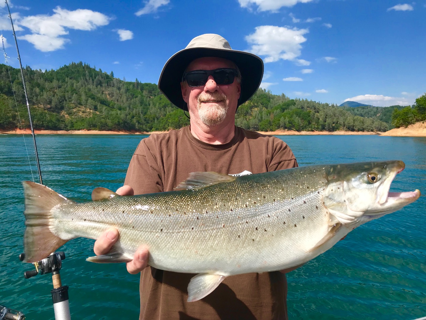 Shasta Lake browns are still in town!