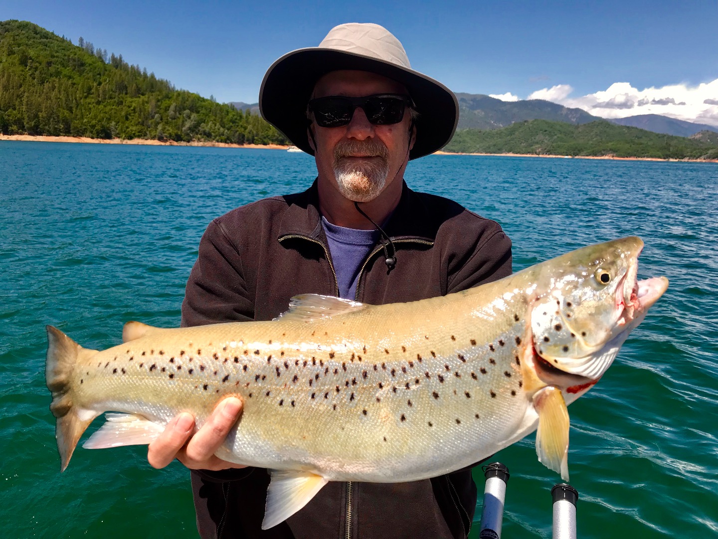 Shasta trout fishing going strong!