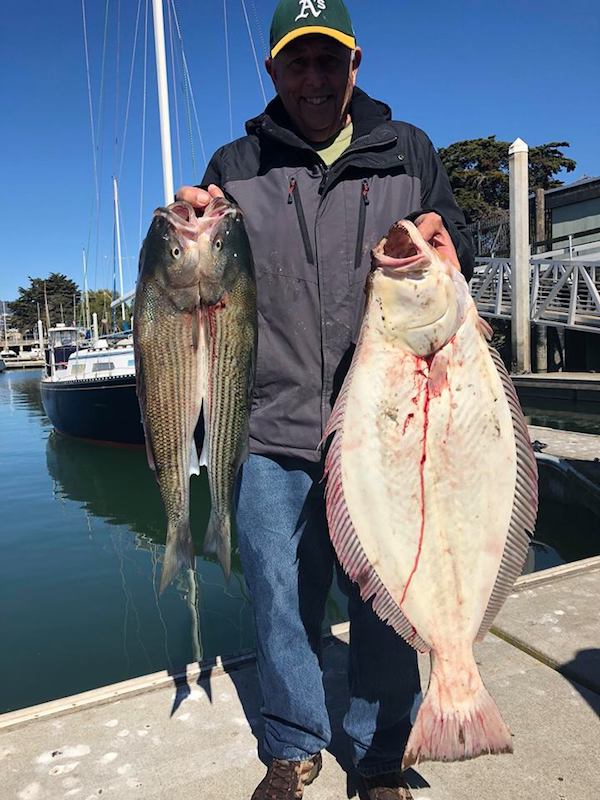 Excellent Grade of Both Bass and Halibut!