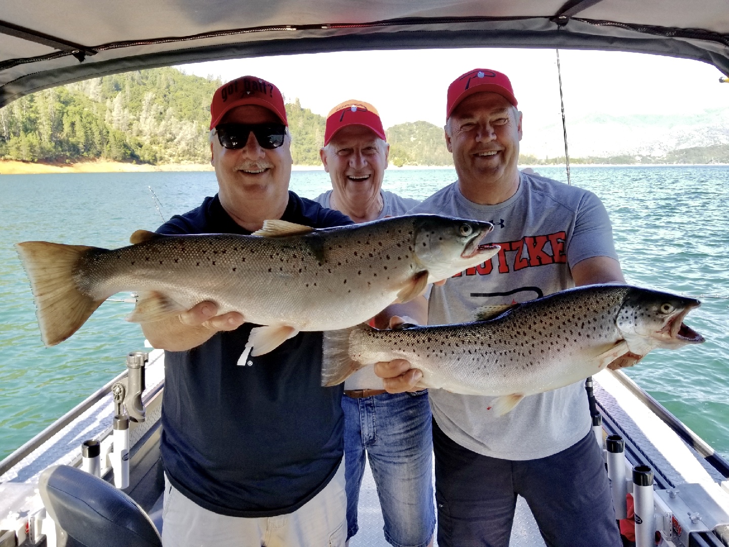 Big Shasta Lake browns are taking center stage!