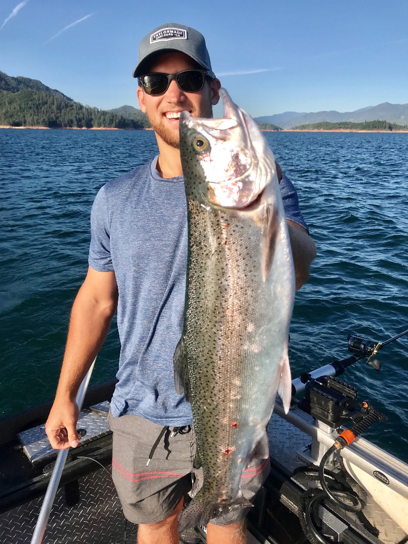 Big fish bite on Shasta continues