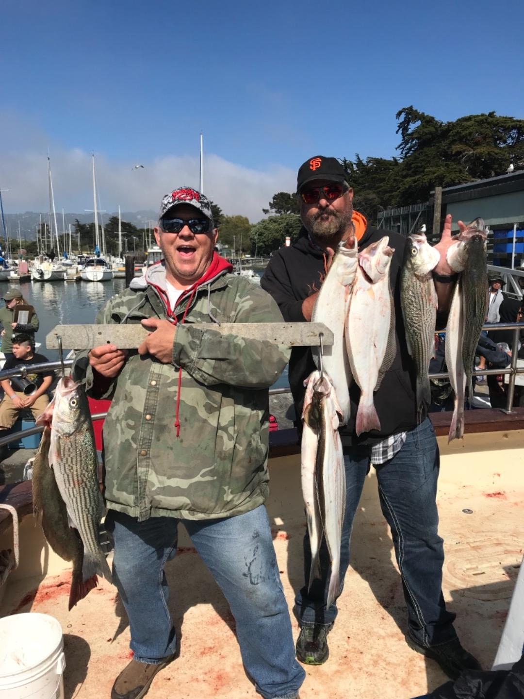 Halibut and limits of striped bass