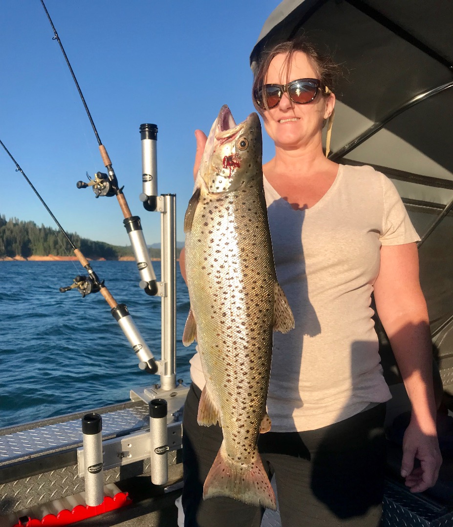 Shasta lake, the big brown factory!