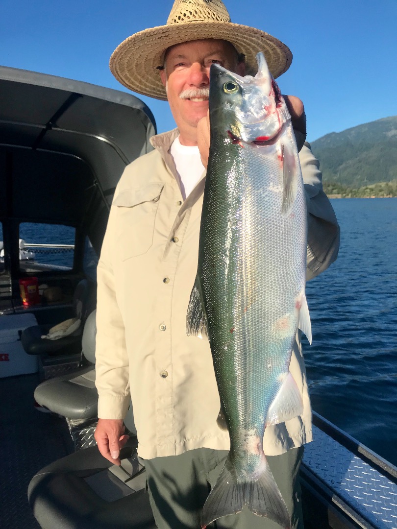 Big Whiskeytown Lake Kokanee today.