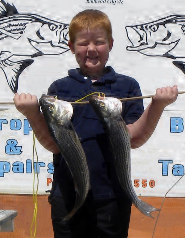 Lake Mohave Fish Report - Cottonwood Cove, NV