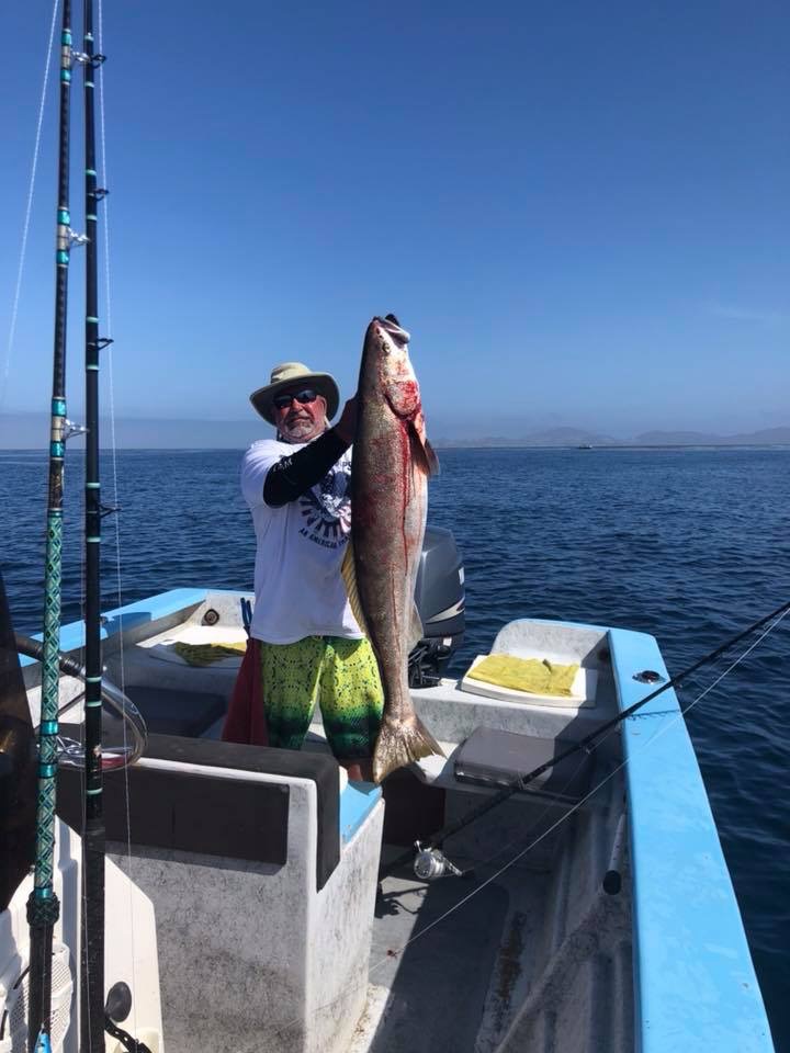 Cedros Sportfishing - White Sea Bass ~ - July 15, 2018
