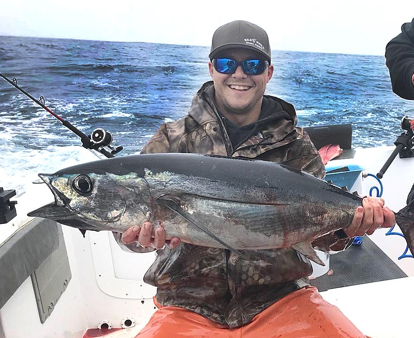 Shelter Cove, Fort Bragg boats whack the tuna