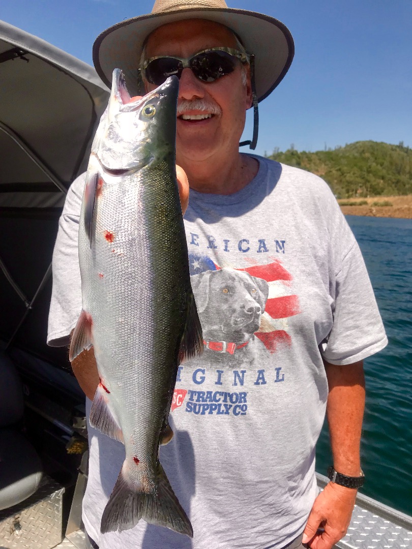 Whiskeytown Lake Kokanee still a good bet!