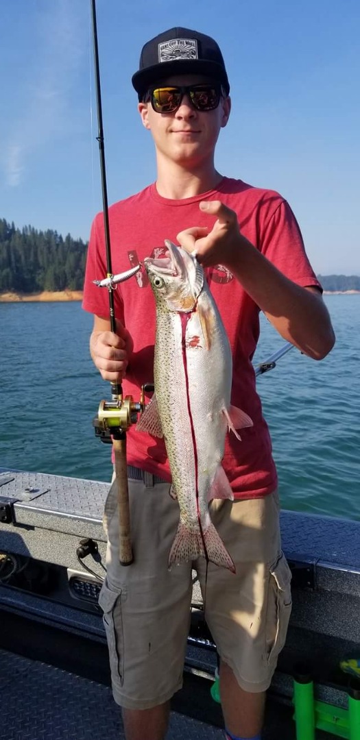 Fatty Shasta Lake Trout on the bite