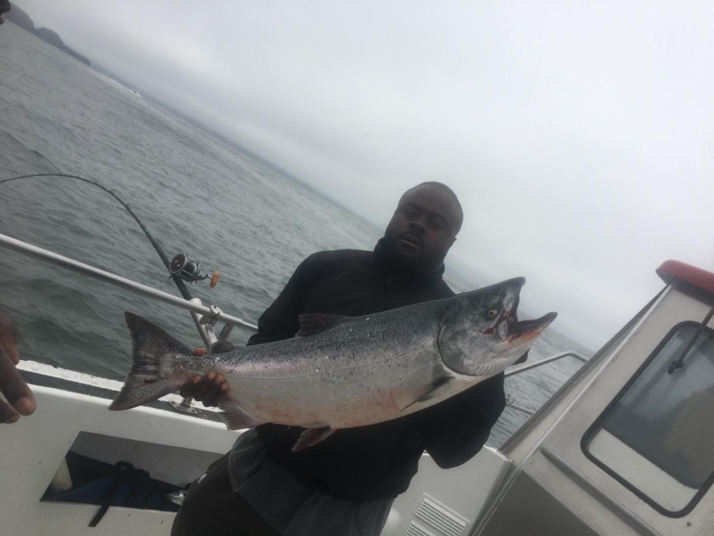 Marin salmon