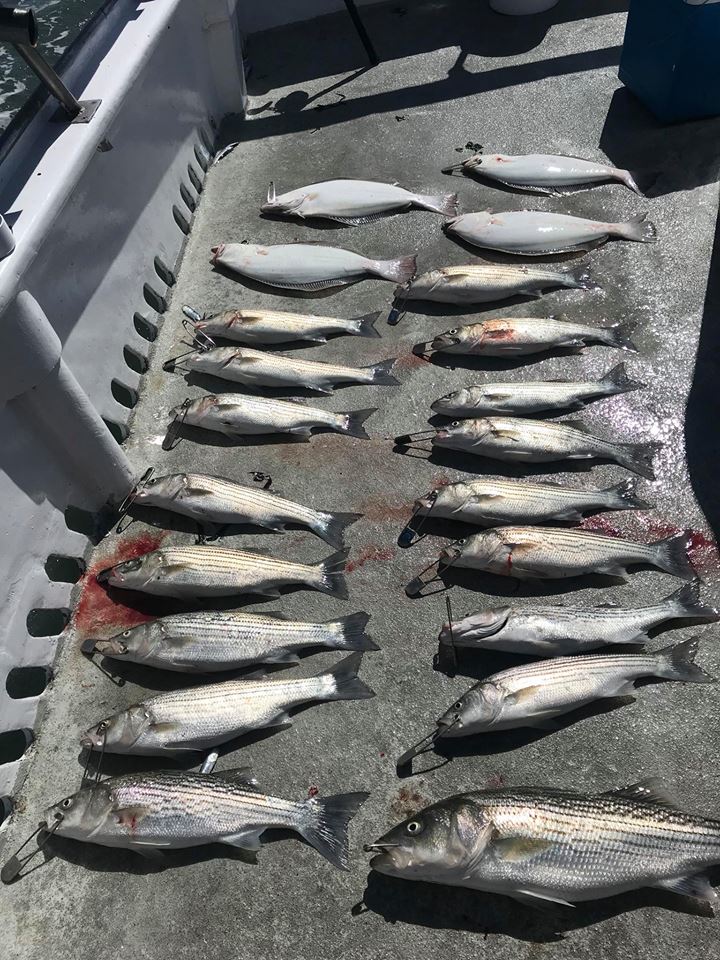  Bass and Halibut for my 10 Man Group
