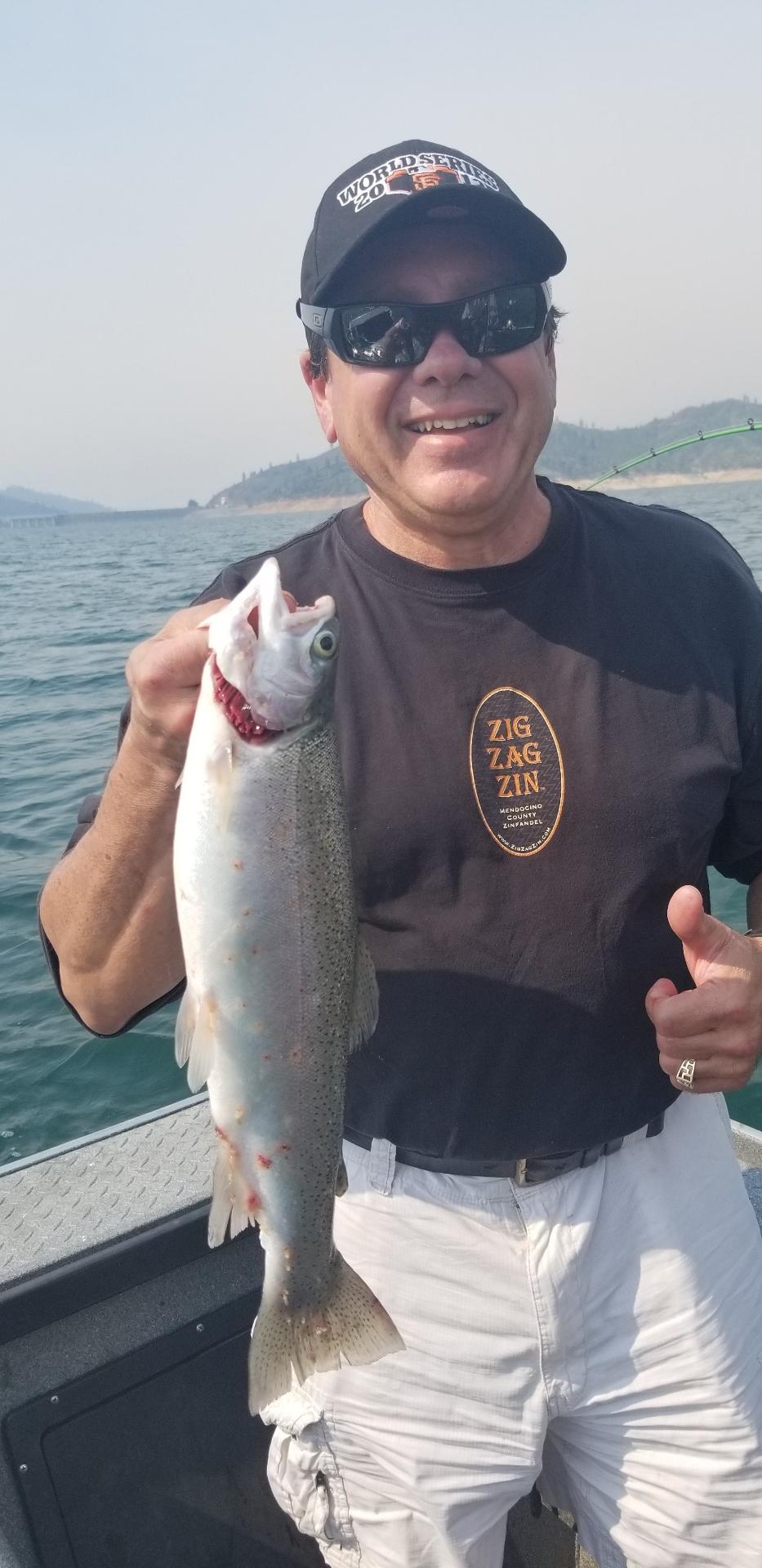 Shasta Lake Fat Tasty Trout 