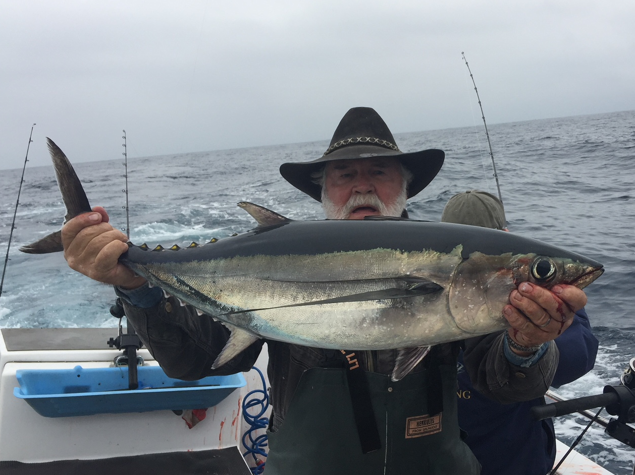Wide-open tuna bite off the North Coast
