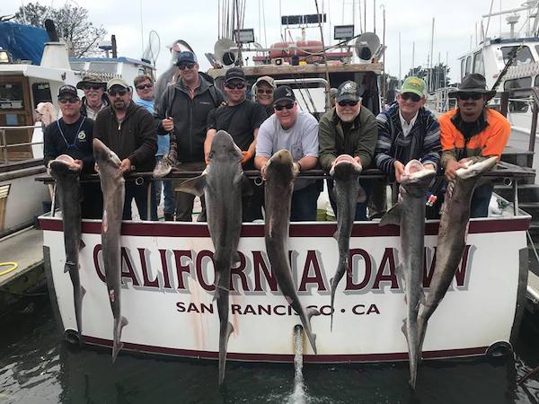  First Shark Trip of the Season!