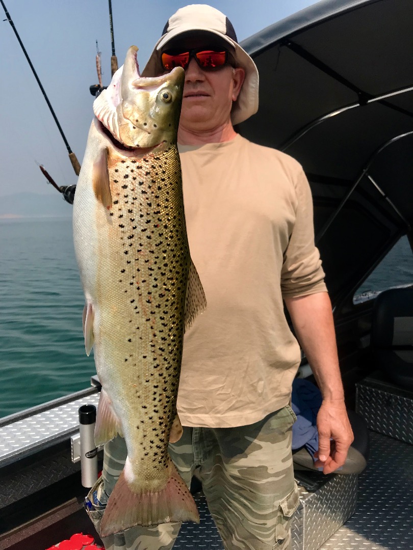 6 pound trout on Shasta Lake!