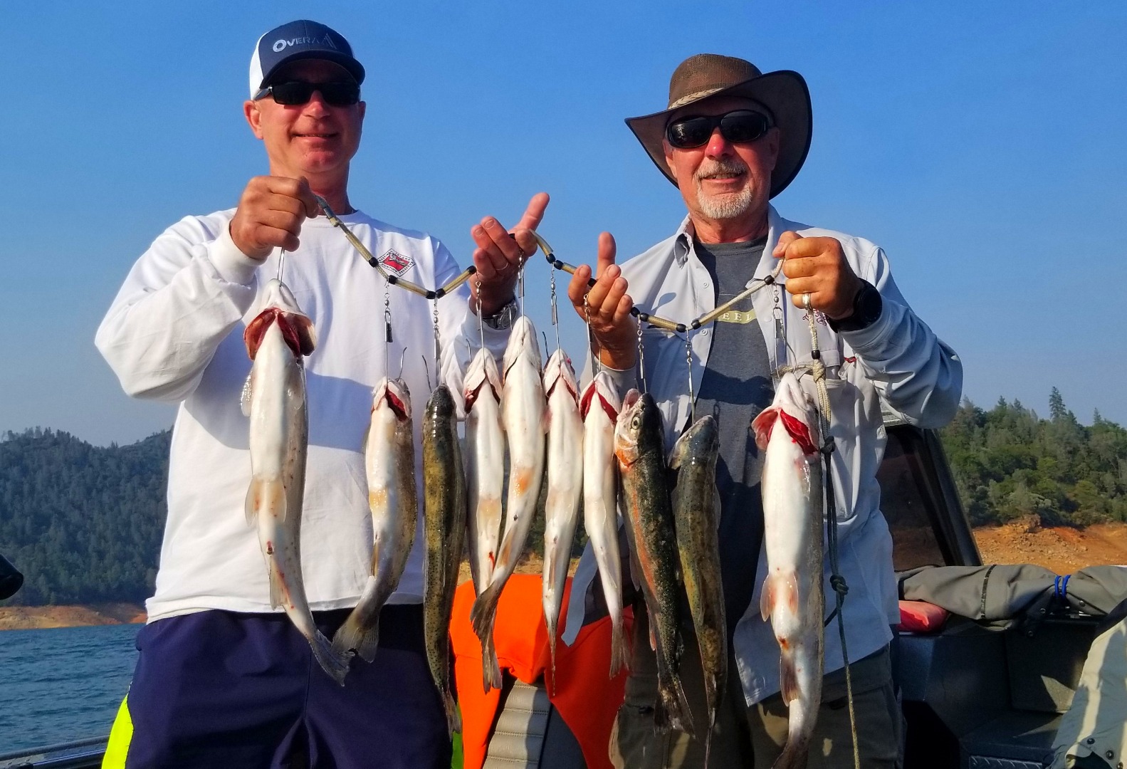 Limits of Fat Shasta Trout an Blue sky too