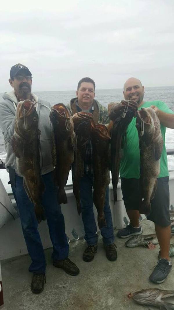  Rockfish and Ling Cod Bit Wide Open!