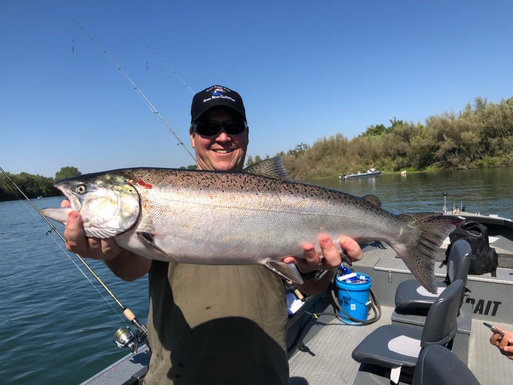 Sacramento river continues to produce nice fish