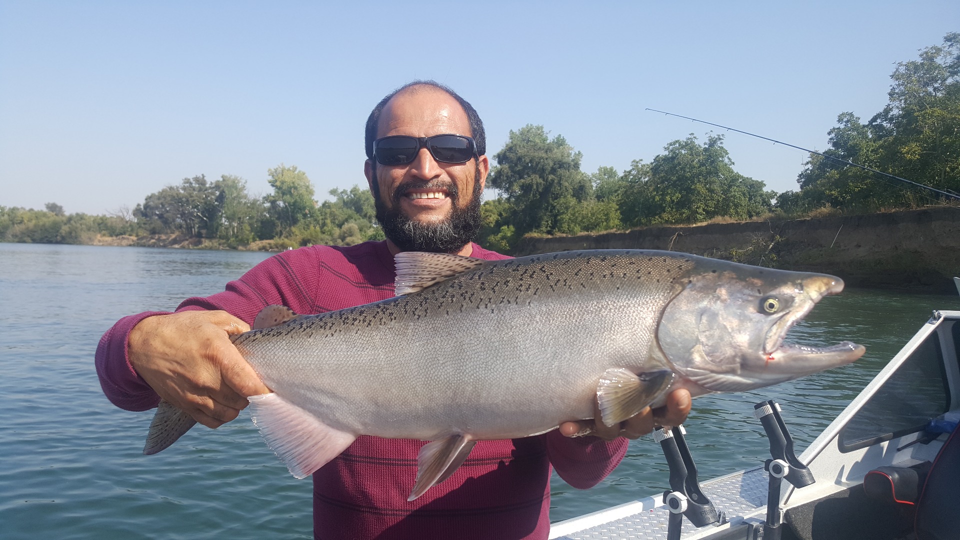 Corning king salmon 