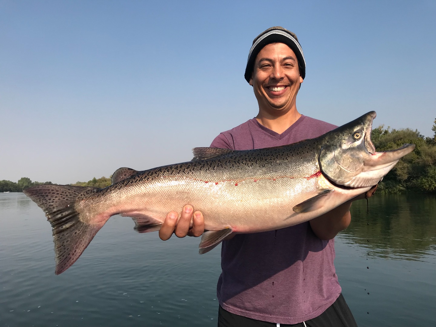 Shasta Lake Fish Report - Shasta Lake - Going deep for Shasta trout! -  September 4, 2018