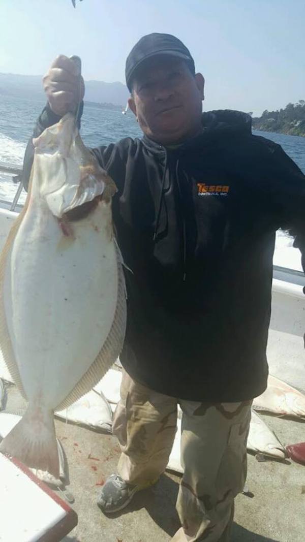 Halibut To 28 lbs!
