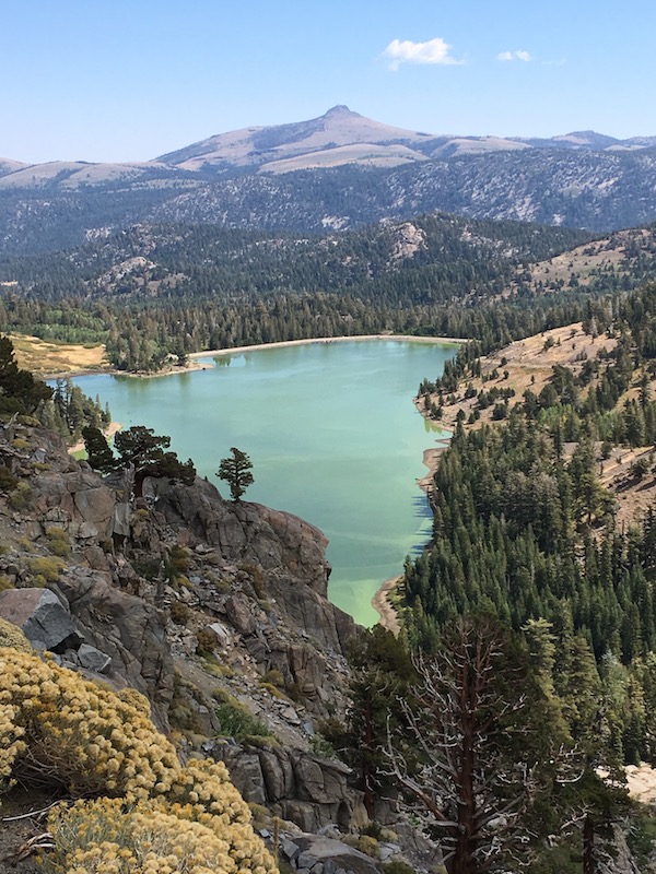 Red Lake Fish Report - Hope Valley, CA (Alpine County)