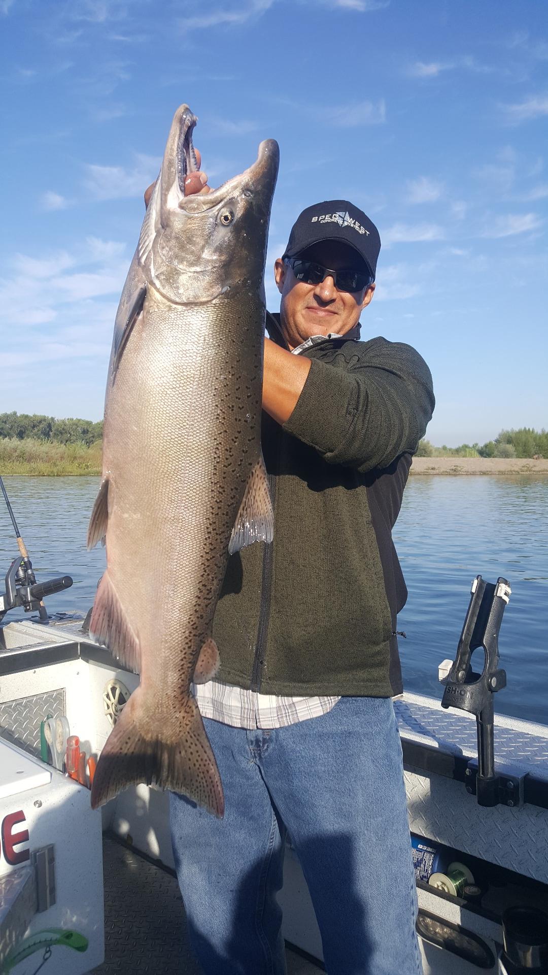 King salmon in redbluff calf!!