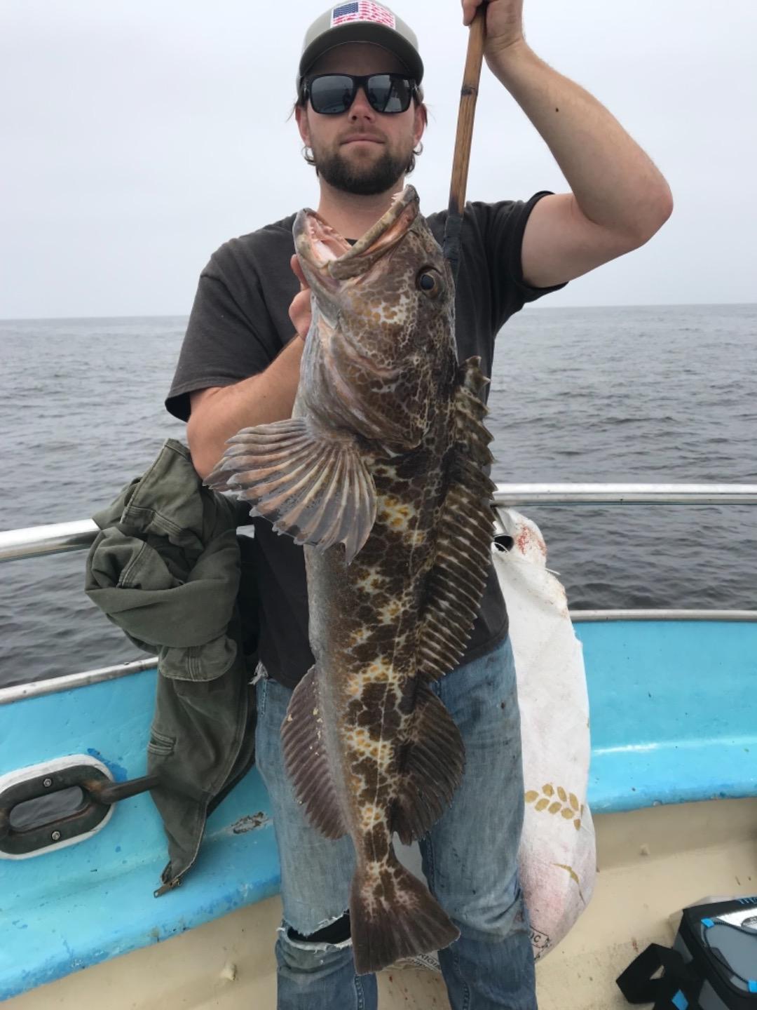 Rockfish and lingcod at the Islands