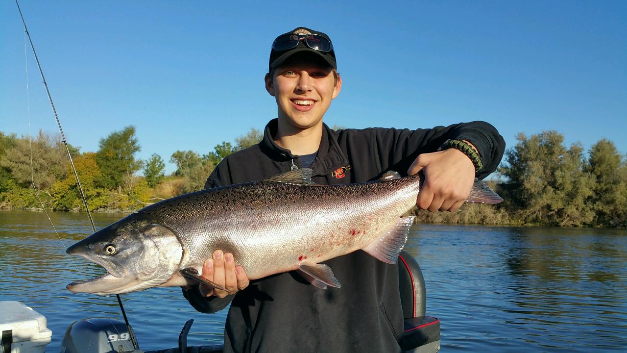 Clean salmon in corning!!