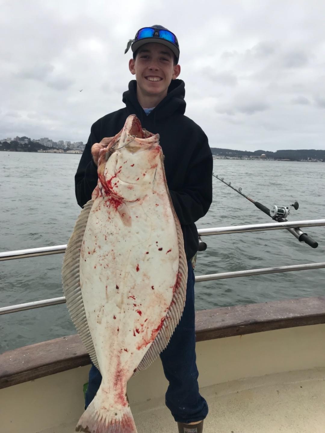 halibut