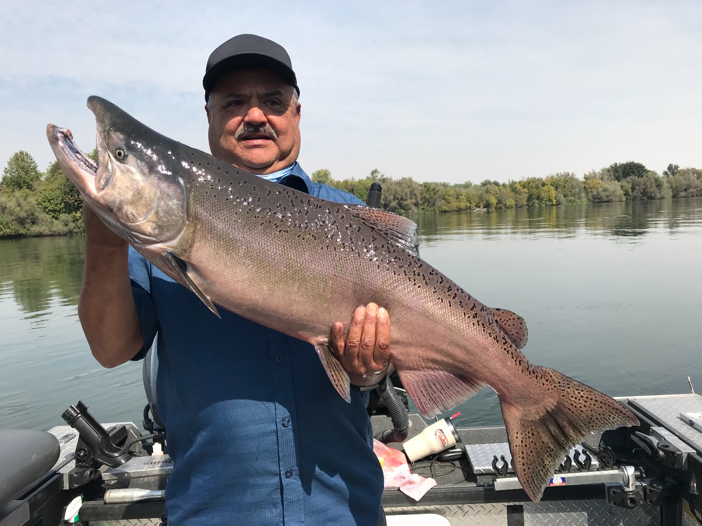 Sacramento River King Salmon & Steelhead Trout — Jeff Goodwin Fishing