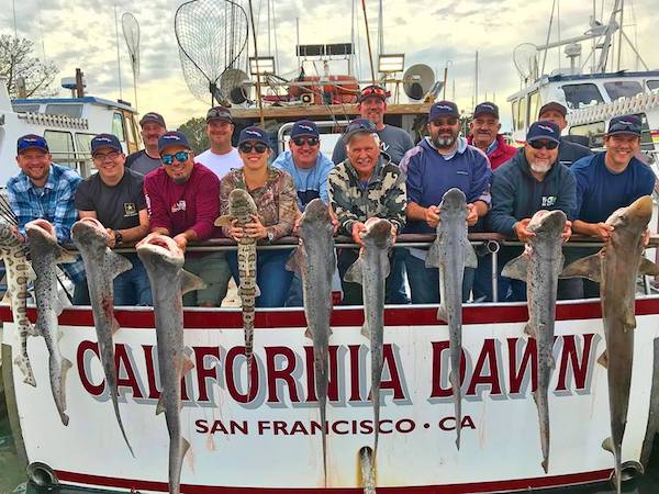 Fished a Late Tide for Some Quality Sharks.