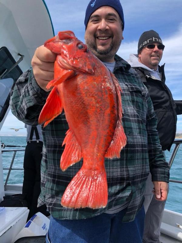 Sea Wolf Fishing Report