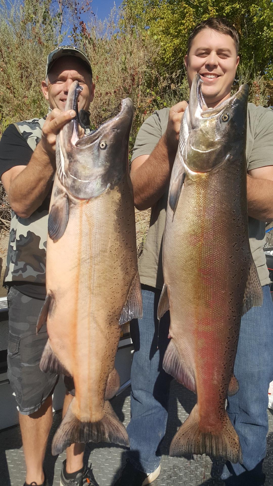 fish store sacramento