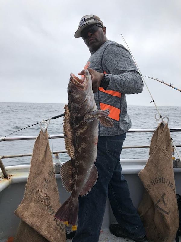 Limits of Rockfish and Lingcod