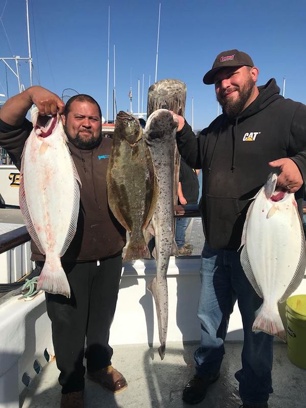 We Fished Shark, Halibut Combos the Past 2 Days