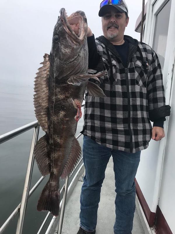 Full Limits of Rockfish and Ling cod.