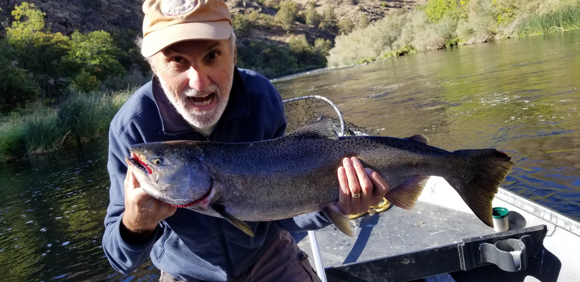 Double Digit Salmon action